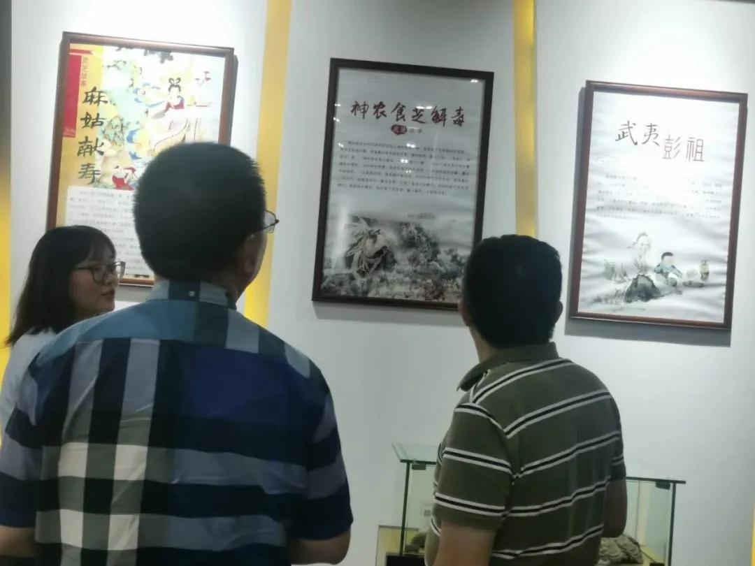 福建省农业农村厅在武夷山召开食用菌“灵芝提质增效技术”培训会议(图3)