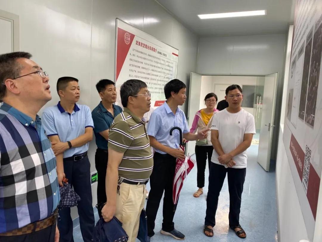 福建省农业农村厅在武夷山召开食用菌“灵芝提质增效技术”培训会议(图6)