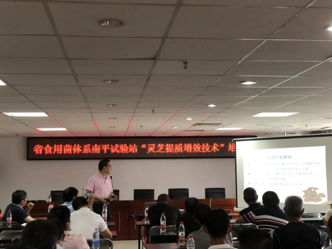 福建省农业农村厅在武夷山召开食用菌“灵芝提质增效技术”培训会议(图11)