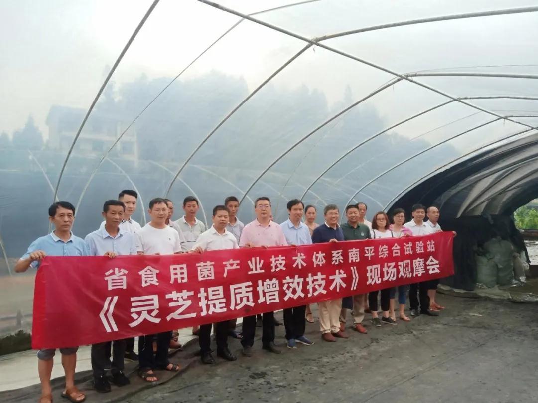 福建省农业农村厅在武夷山召开食用菌“灵芝提质增效技术”培训会议(图13)