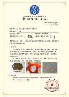 资质荣誉(图1)