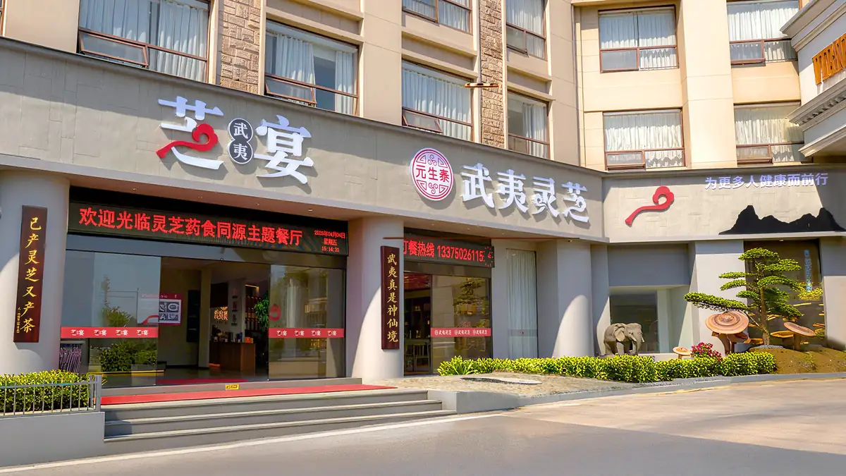 元生泰武夷芝宴灵芝药食同源主题餐厅门店实拍