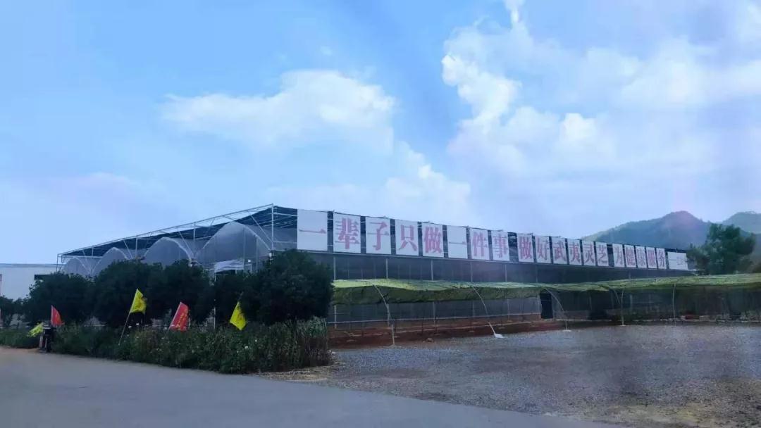 喜报|毛景华董事长荣任世界华商联合总会副会长(图10) 喜报|毛景华董事长荣任世界华商联合总会副会长(图10)