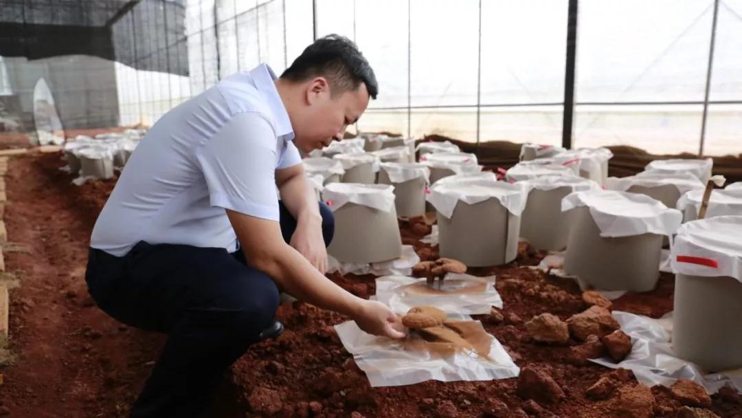 喜报|毛景华董事长荣任世界华商联合总会副会长(图8) 喜报|毛景华董事长荣任世界华商联合总会副会长(图8)