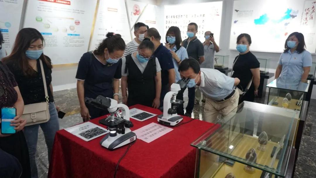 武夷山市2020年“全国科技工作者日”座谈会在元生泰举行(图5)