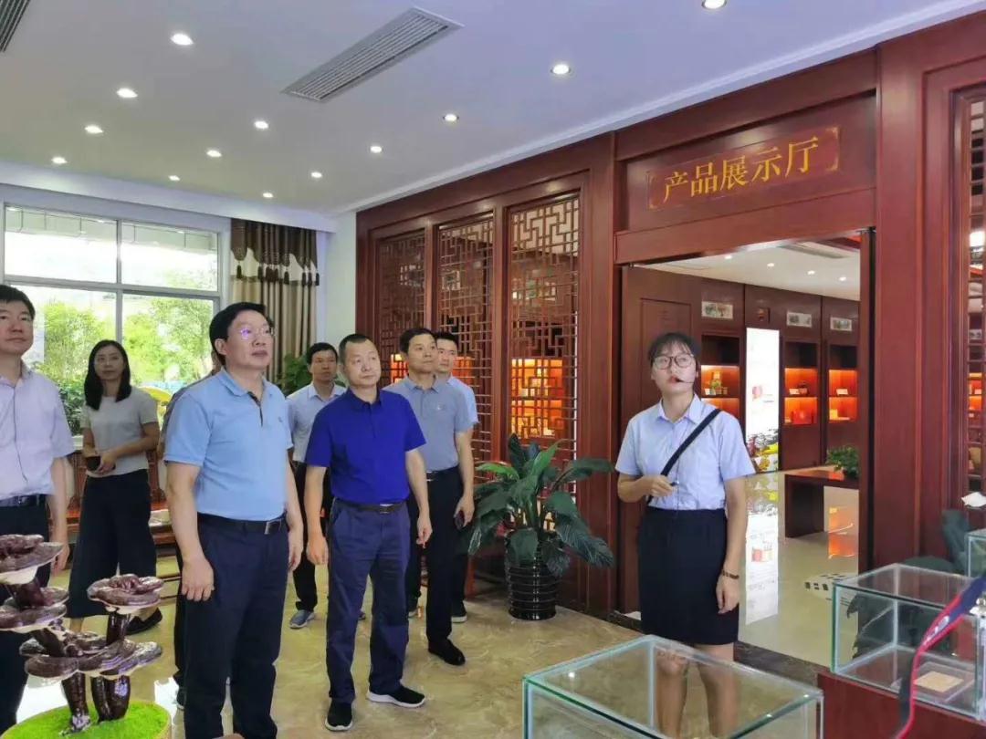 福建省人大常委会副主任檀云坤一行莅临元生泰视察指导(图3) 福建省人大常委会副主任檀云坤一行莅临元生泰视察指导(图3)