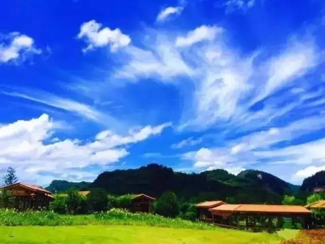 和你走过武夷山的春夏秋冬,看属于我们的风景(图6) 和你走过武夷山的春夏秋冬,看属于我们的风景(图6)