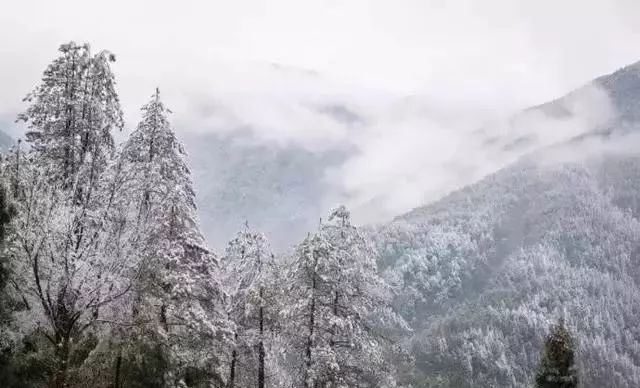 和你走过武夷山的春夏秋冬,看属于我们的风景(图14) 和你走过武夷山的春夏秋冬,看属于我们的风景(图14)