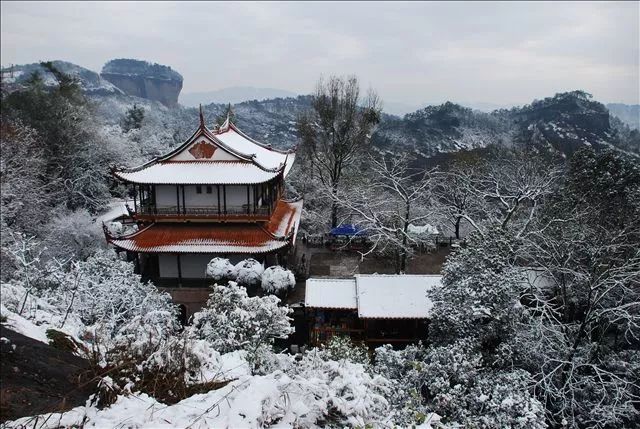 和你走过武夷山的春夏秋冬,看属于我们的风景(图15) 和你走过武夷山的春夏秋冬,看属于我们的风景(图15)