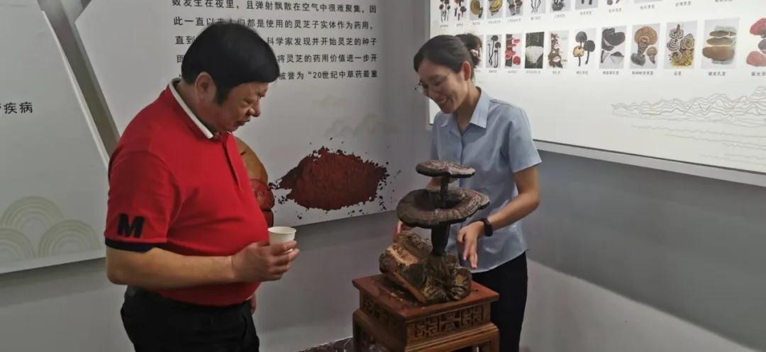 世界华商联合总会常务副主席何银泉一行到访元生泰参观考察(图3) 世界华商联合总会常务副主席何银泉一行到访元生泰参观考察(图3)