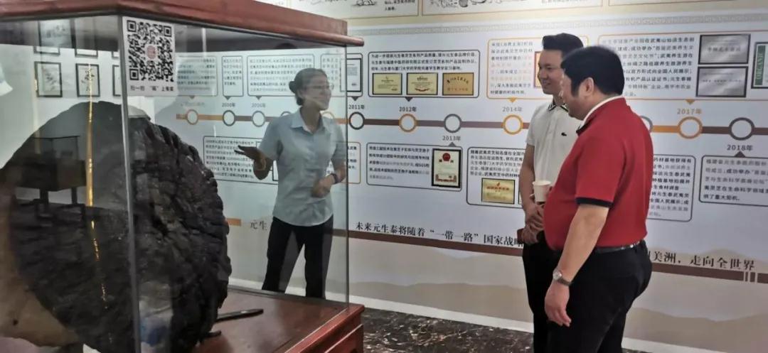 世界华商联合总会常务副主席何银泉一行到访元生泰参观考察(图4) 世界华商联合总会常务副主席何银泉一行到访元生泰参观考察(图4)