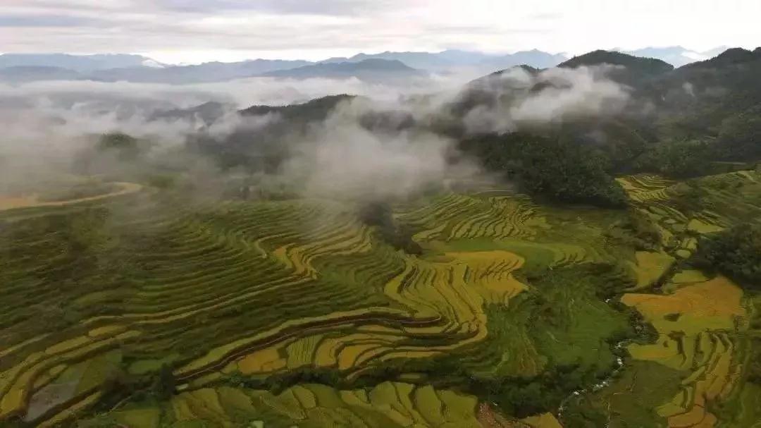 武夷山市人大常委会副主任马素花一行莅临元生泰灵芝种植基地视察(图7) 武夷山市人大常委会副主任马素花一行莅临元生泰灵芝种植基地视察(图7)
