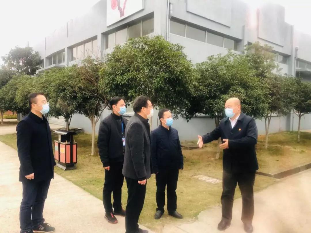 武夷山市委书记江建华莅临元生泰视察指导(图1) 武夷山市委书记江建华莅临元生泰视察指导(图1)