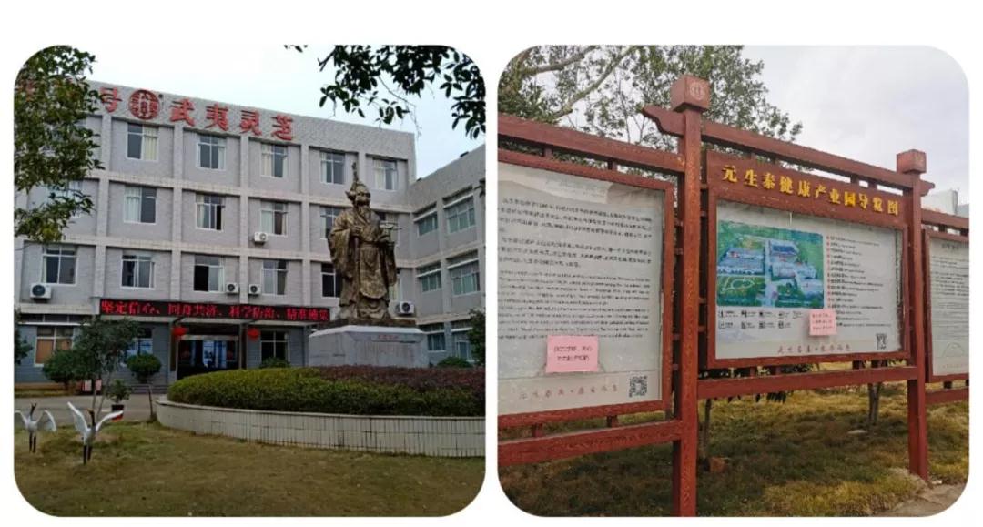 武夷山市委书记江建华莅临元生泰视察指导(图2) 武夷山市委书记江建华莅临元生泰视察指导(图2)