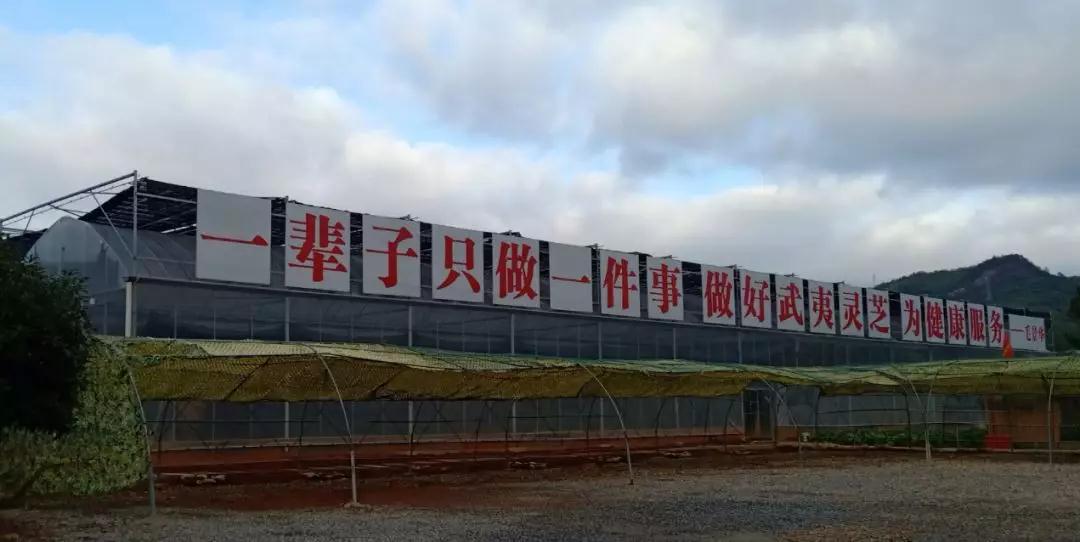 武夷山市委书记江建华莅临元生泰视察指导(图8) 武夷山市委书记江建华莅临元生泰视察指导(图8)