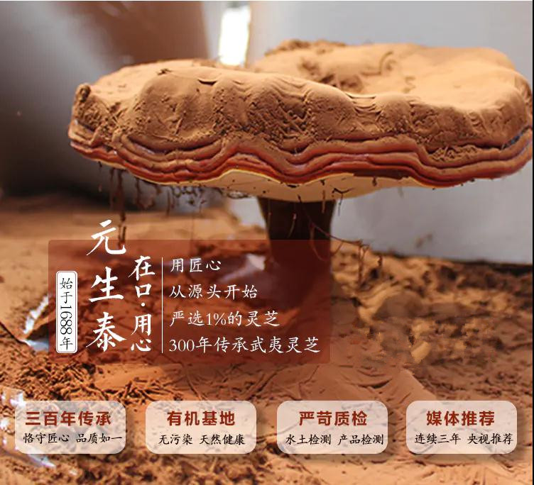 质量文化(图1) 质量文化(图1)