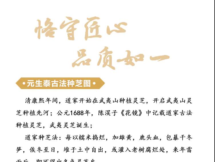 质量文化(图2) 质量文化(图2)