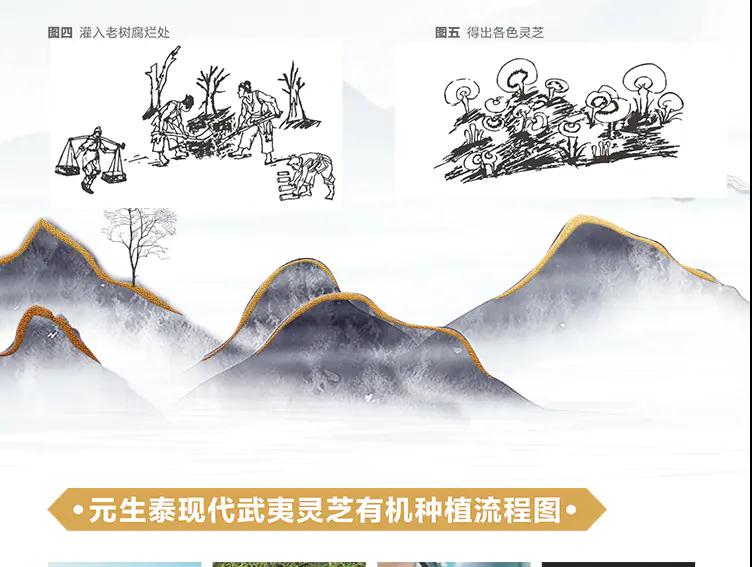 质量文化(图4) 质量文化(图4)