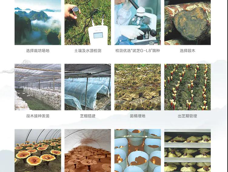 质量文化(图5) 质量文化(图5)
