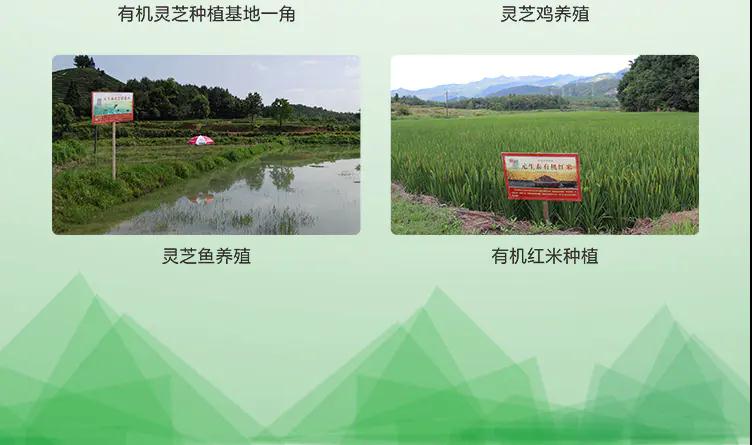 质量文化(图14) 质量文化(图14)