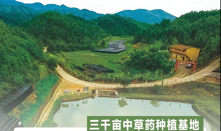 质量文化(图10) 质量文化(图10)