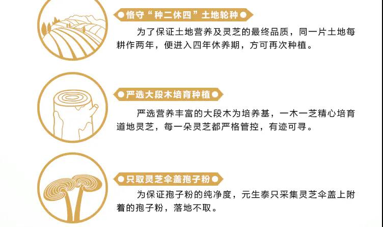 质量文化(图12) 质量文化(图12)