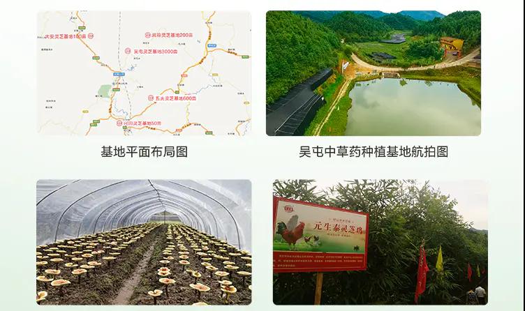 质量文化(图13) 质量文化(图13)