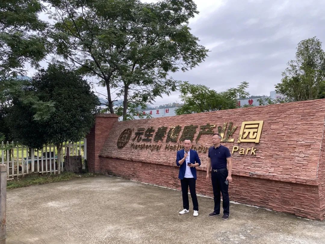 第四届“武夷养生文化旅游节”暨“灵芝文化节”万人直播盛大开幕!(图2) 第四届“武夷养生文化旅游节”暨“灵芝文化节”万人直播盛大开幕!(图2)