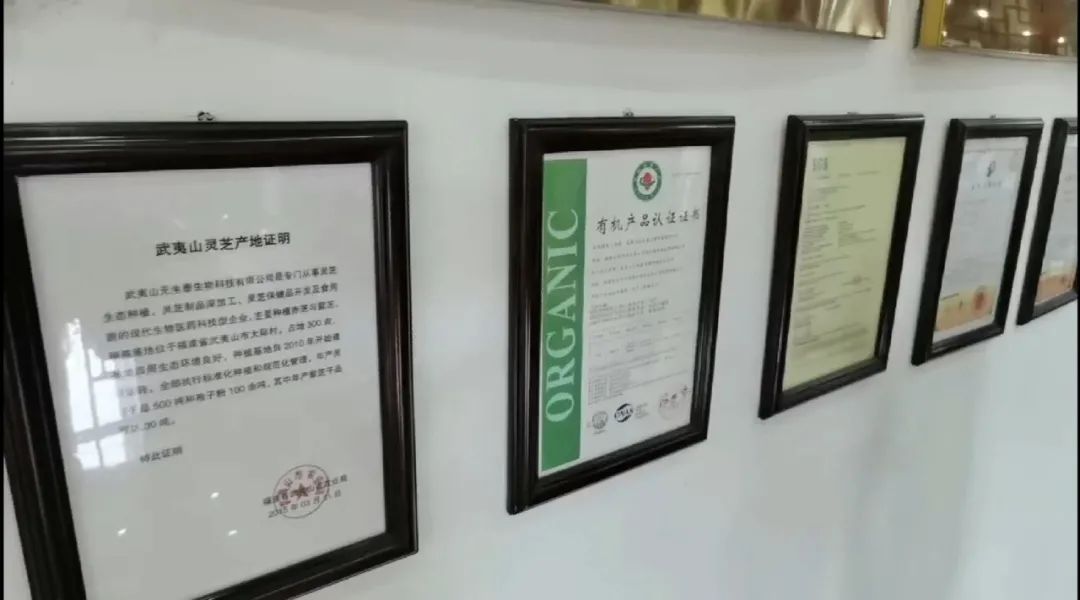 第四届“武夷养生文化旅游节”暨“灵芝文化节”万人直播盛大开幕!(图4) 第四届“武夷养生文化旅游节”暨“灵芝文化节”万人直播盛大开幕!(图4)