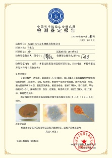 资质荣誉(图1) 资质荣誉(图1)