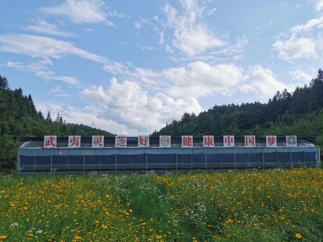 福建省人大常委会党组副书记、副主任雷春美等一行莅临元生泰基地视察指导(图6)
