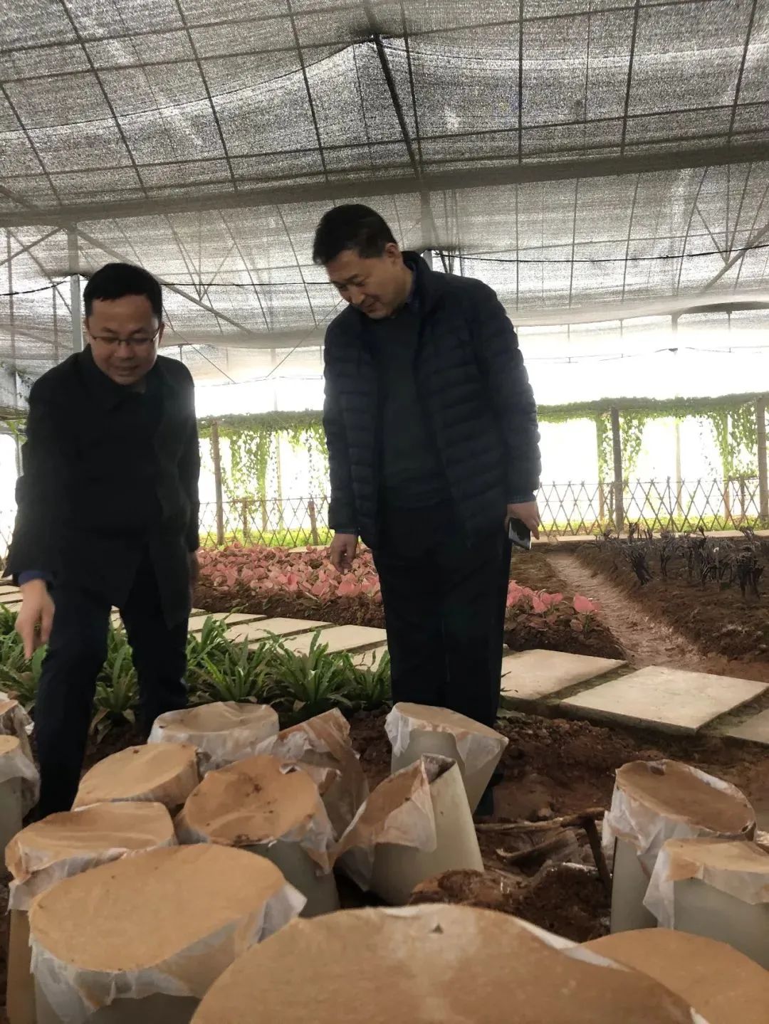 广东省政协副主席、农工党主委马光瑜等一行莅临元生泰视察指导(图4) 图片