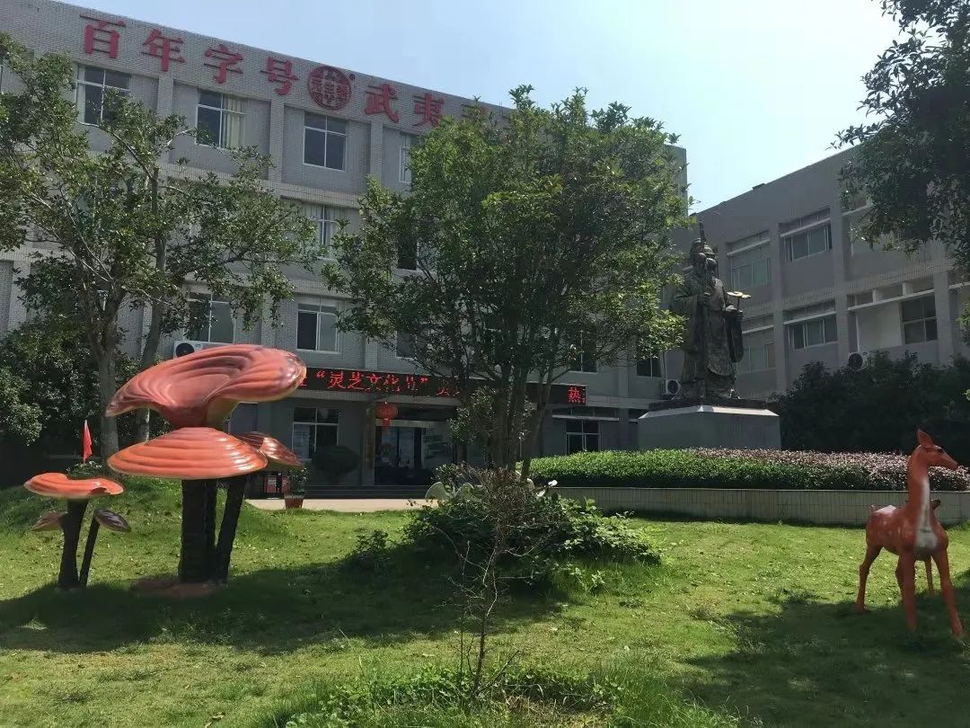 每一朵武夷灵芝,都有自己的骄傲(图9) 图片