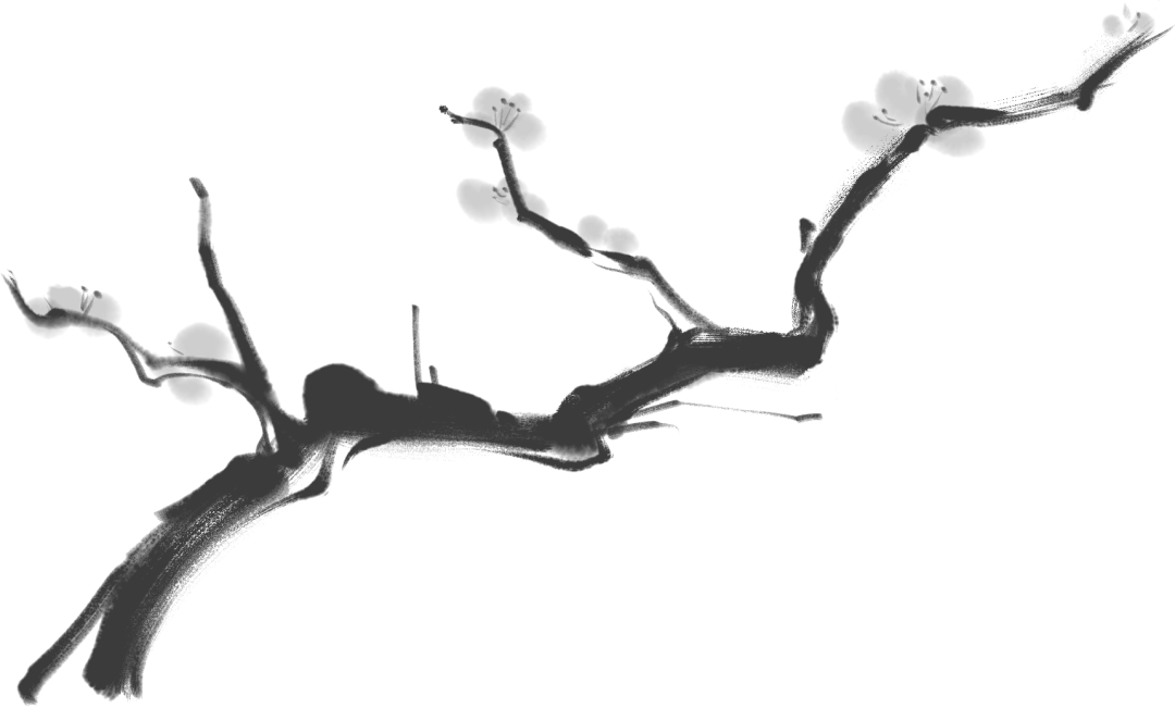 纵有灵芝千千万,独爱武夷真仙灵(图2) 图片