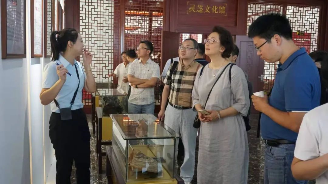 民建浦东自贸区二支部与农工党福建文化健康支部加强交流研讨,助力武夷山乡村振兴(图5) 图片