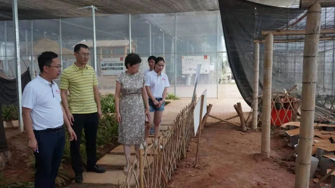 民建浦东自贸区二支部与农工党福建文化健康支部加强交流研讨,助力武夷山乡村振兴(图2) 图片