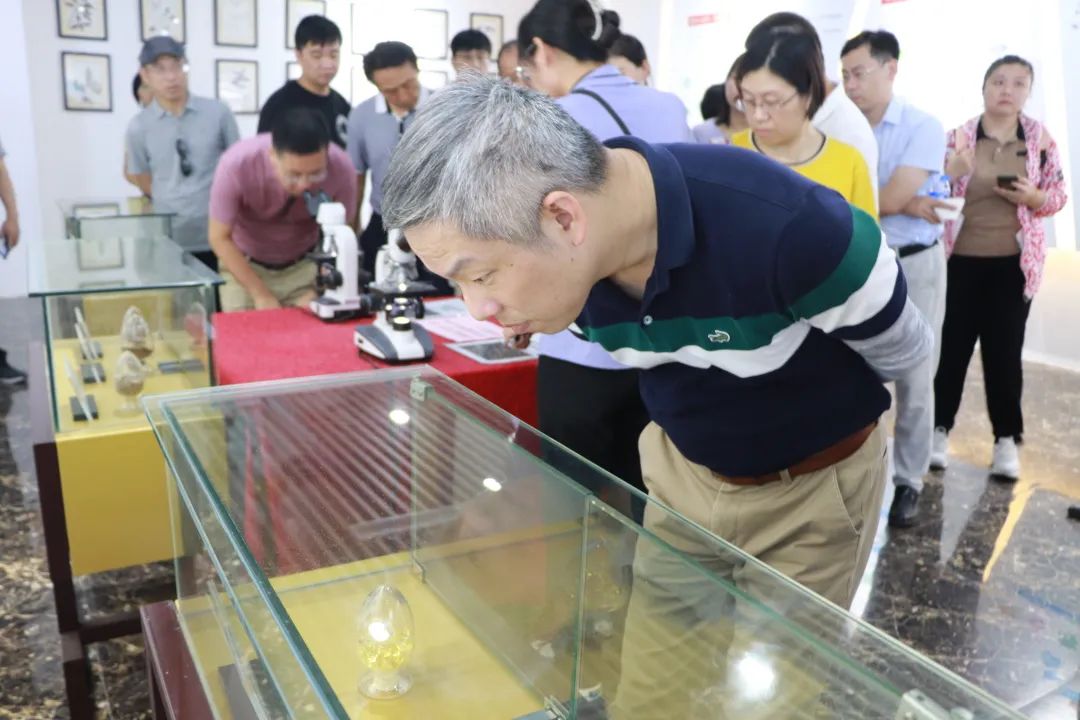厦门大学工会干部学习班莅临元生泰健康产业园视察指导(图4) 图片