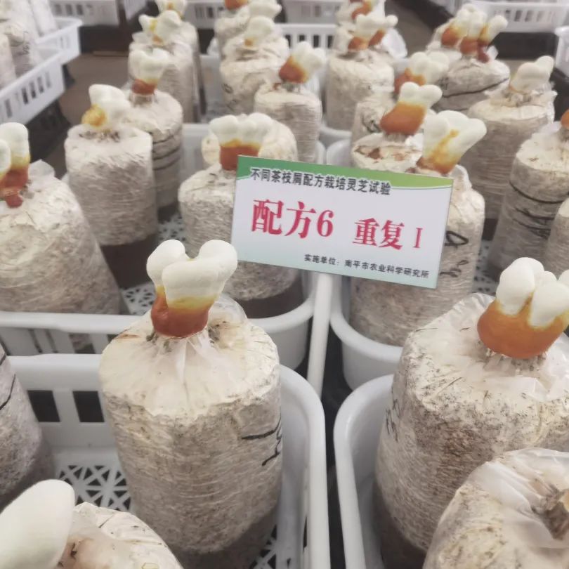 厦门大学工会干部学习班莅临元生泰健康产业园视察指导(图9) 图片