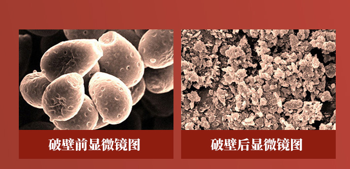 厦门大学工会干部学习班莅临元生泰健康产业园视察指导(图8) 图片