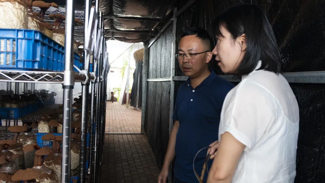 南平市宁德商会莅临元生泰健康产业园视察指导(图4) 图片