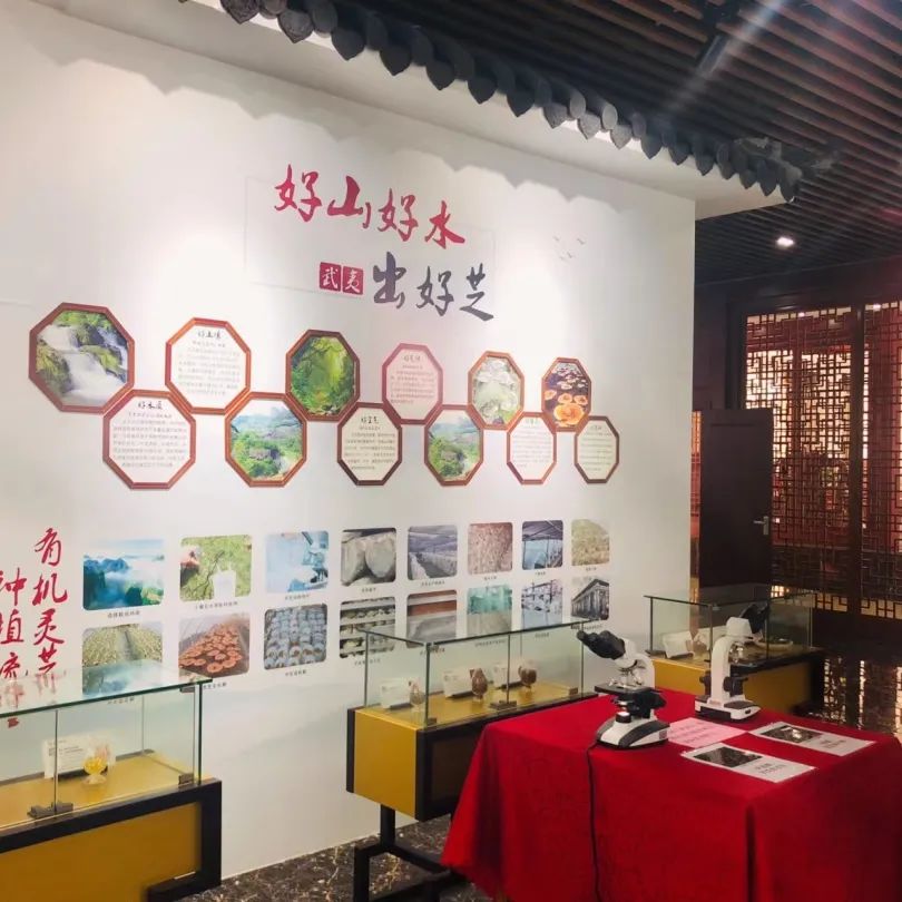 厦门大学优秀校友张宏樑等一行走访元生泰健康产业园(图3) 图片