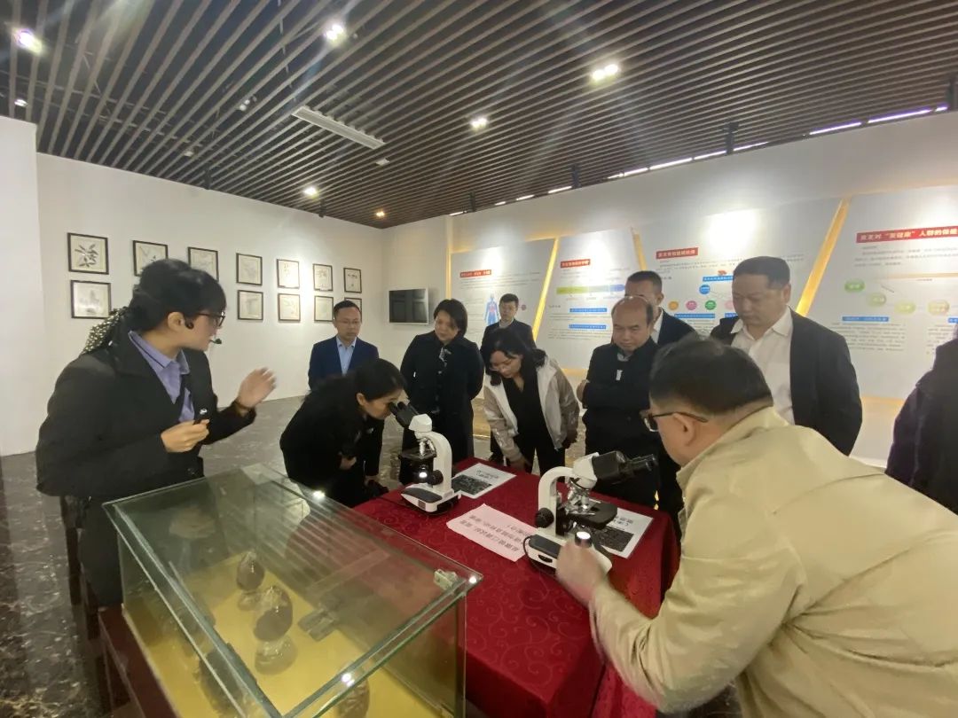 张家界政协副主席陈艳静等领导一行,莅临元生泰调研考察(图3) 图片
