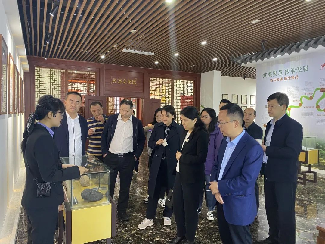 张家界政协副主席陈艳静等领导一行,莅临元生泰调研考察(图2) 图片