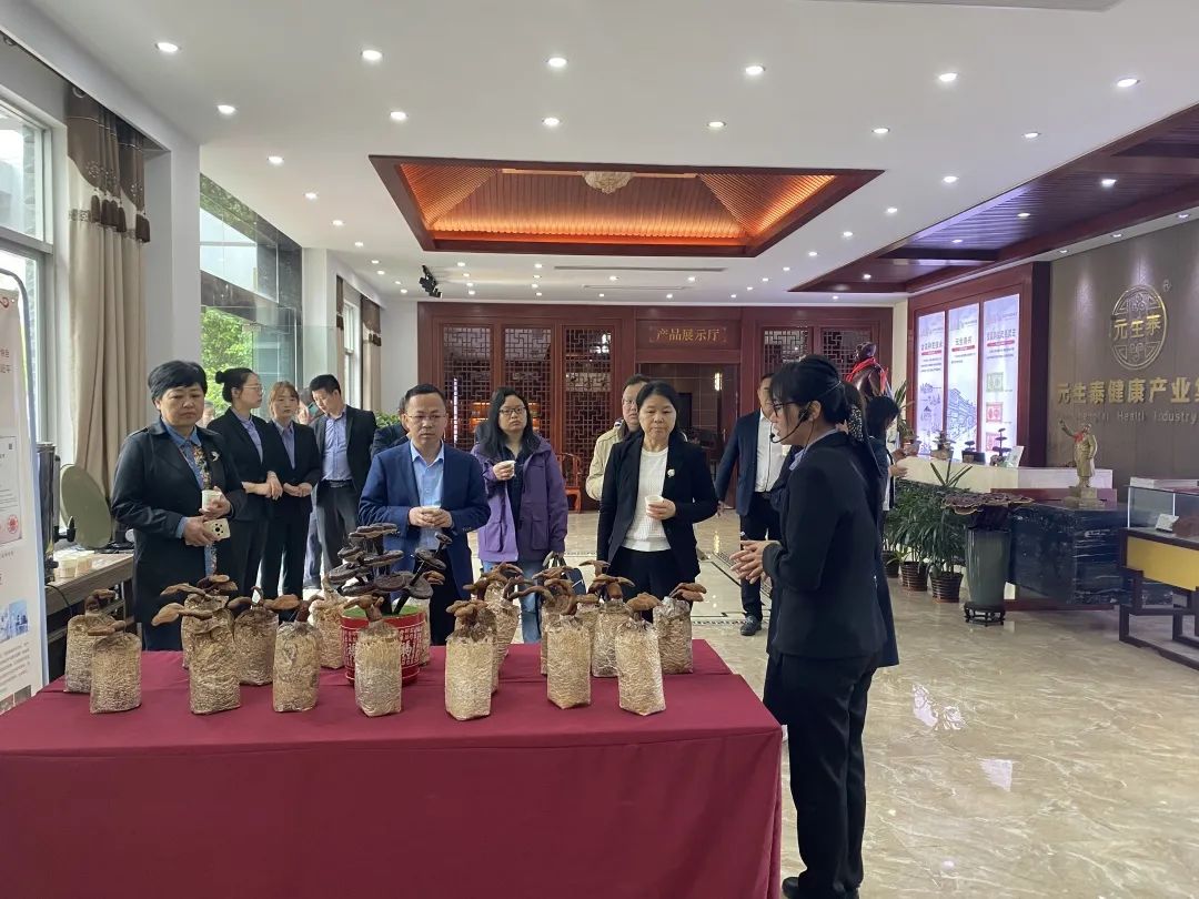 张家界政协副主席陈艳静等领导一行,莅临元生泰调研考察(图6) 图片