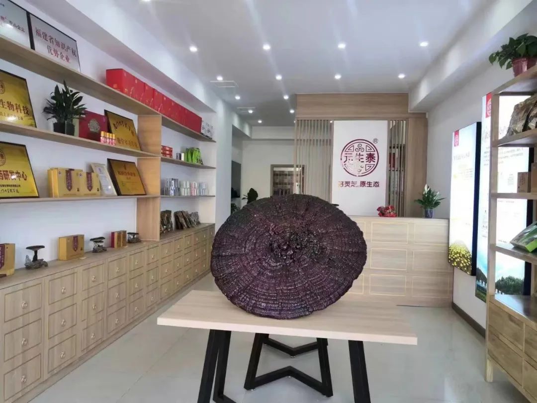 热烈祝贺!武夷灵芝河南许昌专卖店盛大开业(图3) 图片
