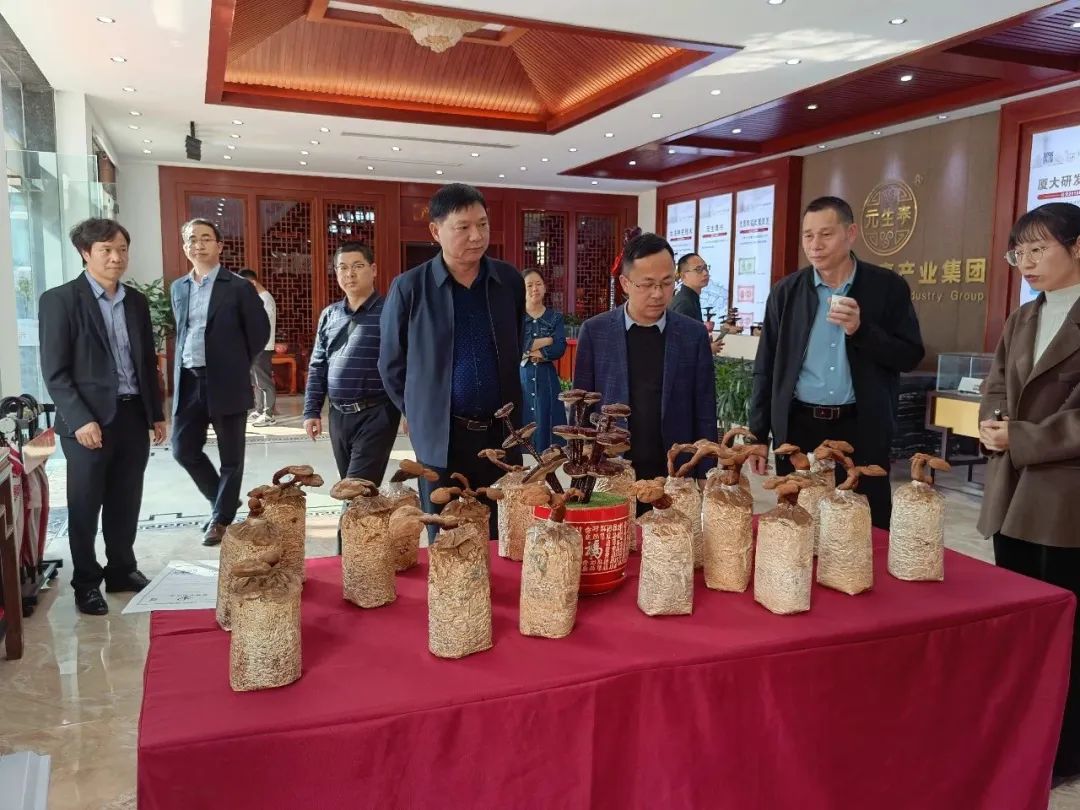 武平县政协副主席林福远一行莅临元生泰调研考察(图1) 图片