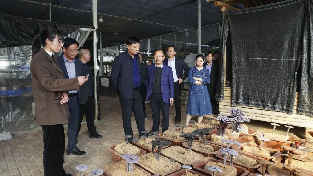 武平县政协副主席林福远一行莅临元生泰调研考察(图4) 图片