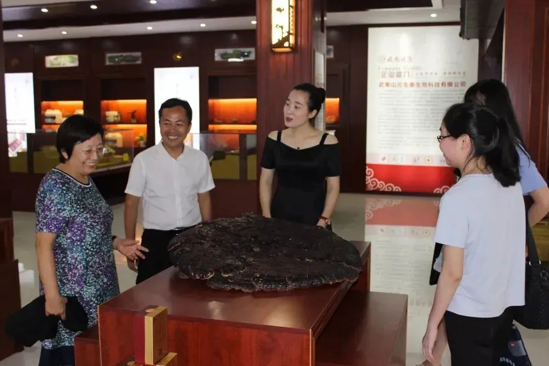 在空间站上探索生命起源,中国生物科研迈出一大步(图3) 图片