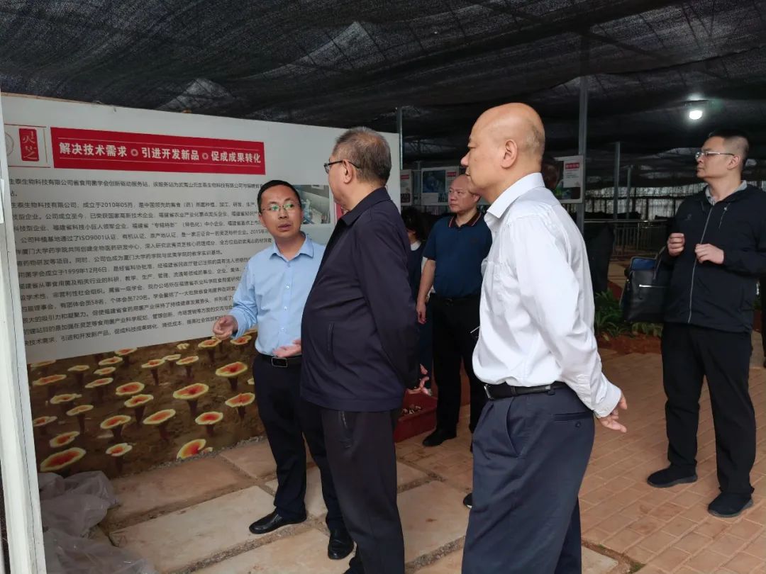 福建省政协副主席、福建省工商联主席王光远等领导一行莅临元生泰调研考察(图3) 图片