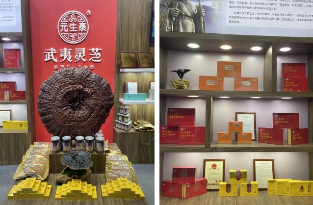 第87届广州药交会圆满落幕,元生泰武夷灵芝实力圈粉!(图2) 第87届广州药交会圆满落幕,元生泰武夷灵芝实力圈粉!(图2)
